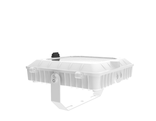 120-277V 50/60Hz Voltage d'entrée LED Canopy Light avec résistance aux chocs IK 07 en couleur blanche